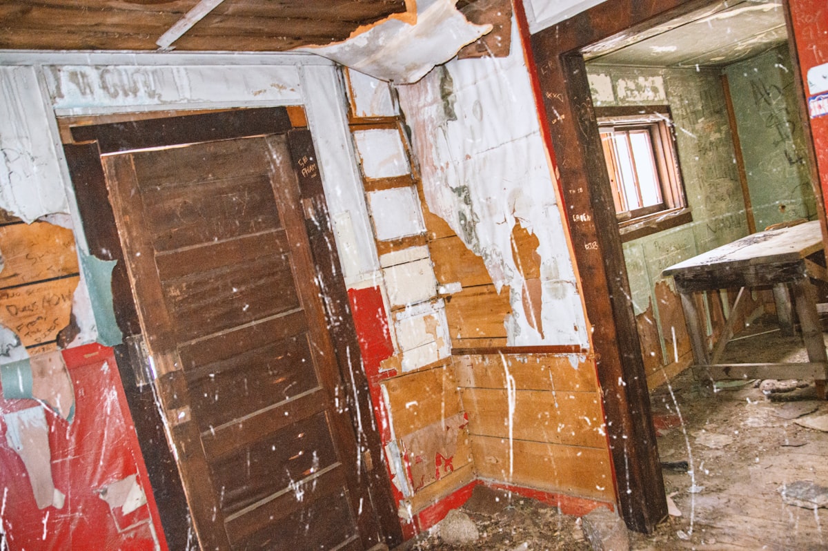 Mold Remediation service in Vallejo, CA